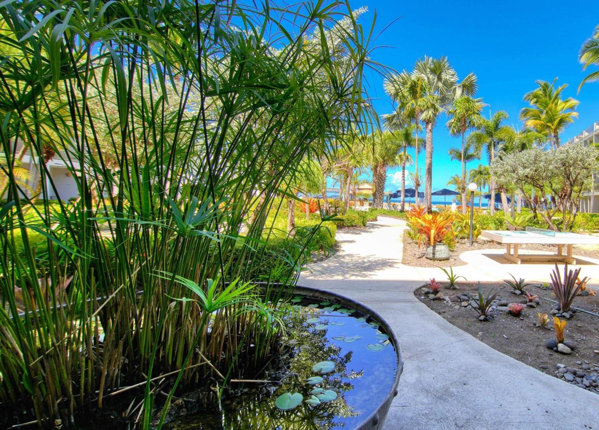 Rincon Of The Seas Grand Caribbean Hotel Esterno foto
